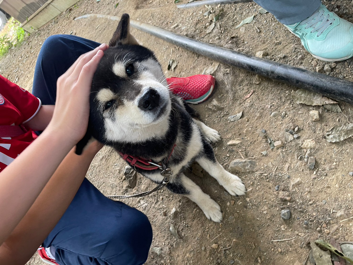 夏到来🌻‼～サポート～